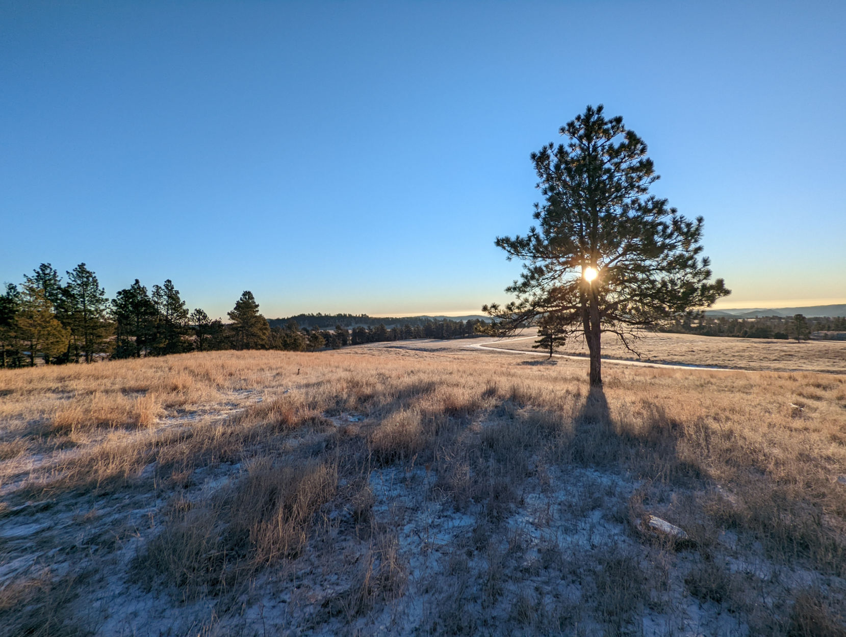 Gov. Noem's proposed campground in Custer State Park rankles business owners, lawmakers Wildlife Loop Road